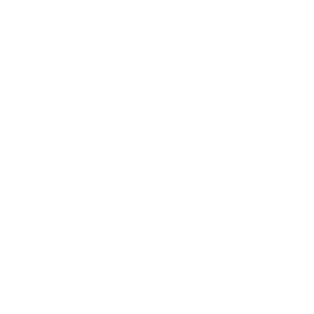Deliver-icon