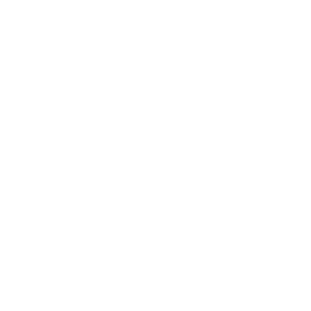 saving-icon